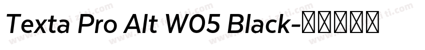 Texta Pro Alt W05 Black字体转换